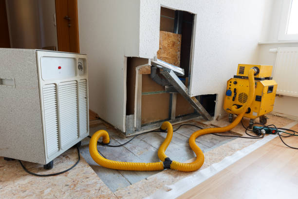 Best Mold Remediation for Rental Properties  in Point Mackenzie, AK